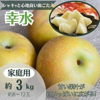 梨　幸水 約3kg 家庭用(8～12玉)