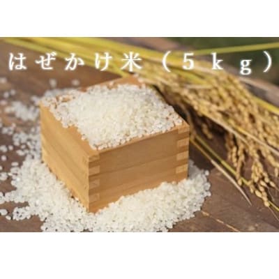 お米　コシヒカリ(はぜかけ米)精米　5kg