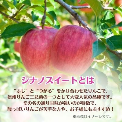 シナノスイート 約5kg 家庭用