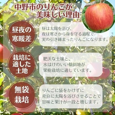 シナノスイート 家庭用 5kg(13～20玉)