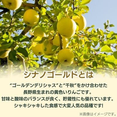 シナノゴールド贈答用5kg
