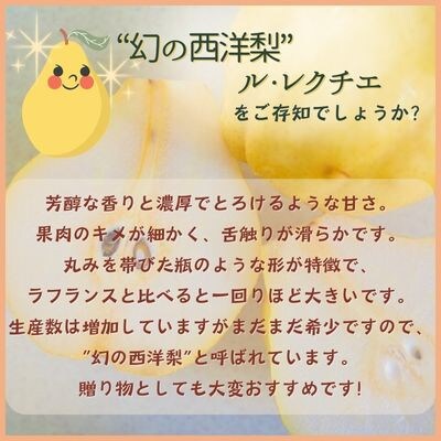 西洋梨　ル・レクチェ　2kg