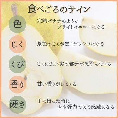 西洋梨　ル・レクチェ　2kg