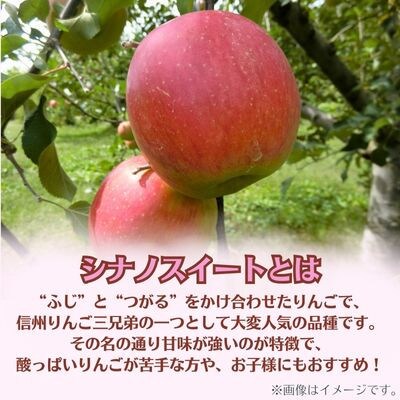 シナノスイート 贈答用 3kg(8～12玉)