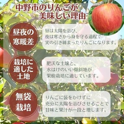 シナノスイート 贈答用 3kg(8～12玉)