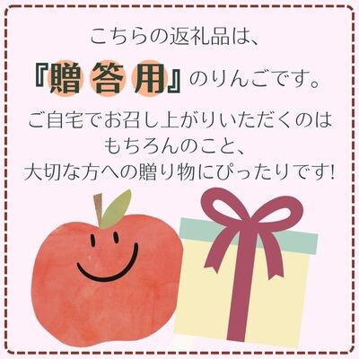シナノスイート 贈答用 3kg(8～12玉)