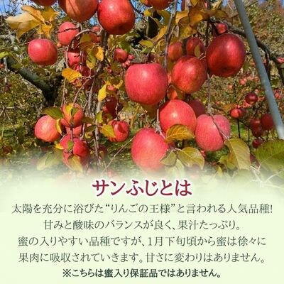 サンふじ 贈答用 約10kg(24～40玉)