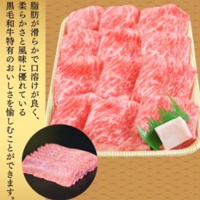 【中野市返礼品】小田切牧場 信州プレミアム牛肉 ロース しゃぶしゃぶ・すき焼き用 500g
