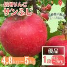 信州りんご サンふじ(1段)4.8kg～5kg 優品【11月中旬より順次発送】