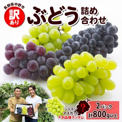 〈2025年先行受付〉訳あり ぶどう 房 2種以上 食べ比べ2パック(計800g以上) 信州丸幸農園