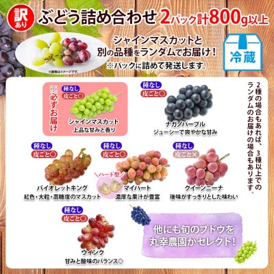 〈2025年先行受付〉訳あり ぶどう 房 2種以上 食べ比べ2パック(計800g以上) 信州丸幸農園