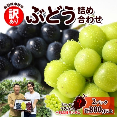 【2026年先行受付】訳あり ぶどう 房 2種 食べ比べ 計2パック(計800g以上) 信州丸幸農園