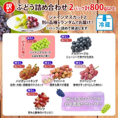 【2026年先行受付】訳あり ぶどう 房 2種 食べ比べ 計2パック(計800g以上) 信州丸幸農園