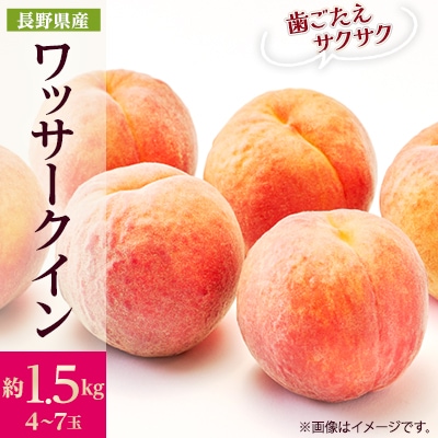 y2026Nzt[c@쌧MB@bT[NC@1.5kg(4`7)