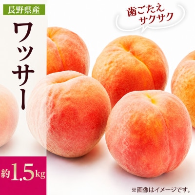 【2027年発送】フルーツ王国　長野県信州直送　ワッサー　約1.5kg(4～7玉)　