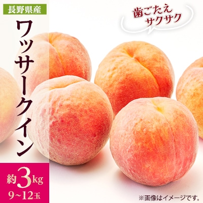 【2026年発送】フルーツ王国　長野県信州直送　ワッサークイン　約3kg(9～12玉)
