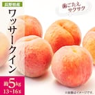【2026年発送】フルーツ王国　長野県信州直送　ワッサークイン 約5kg(13～16玉)