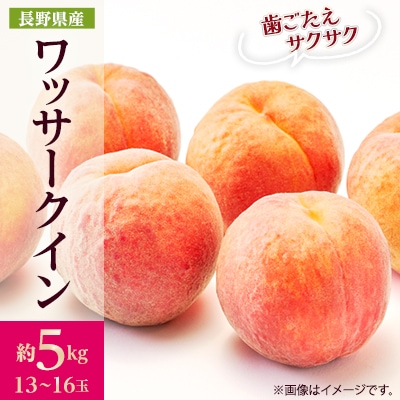 【2026年発送】フルーツ王国　長野県信州直送　ワッサークイン 約5kg(13～16玉)
