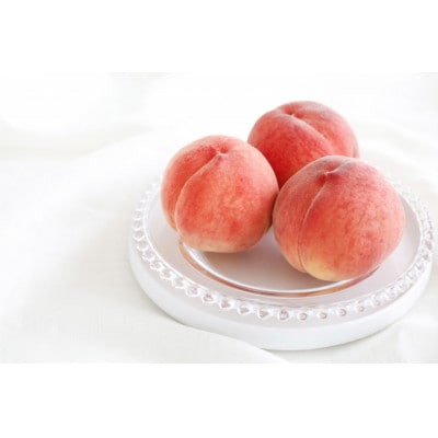 【2025年発送】フルーツ王国　長野県信州直送「旬な桃」　あかつき　約1.5kg(4～7玉)