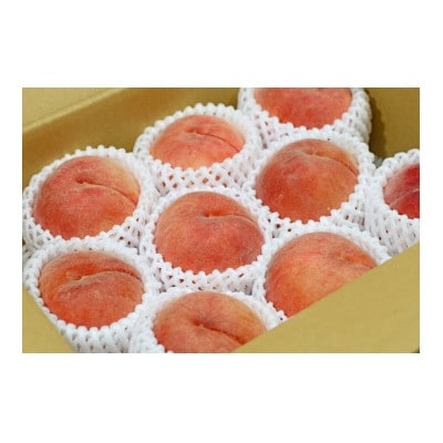 【2025年発送】フルーツ王国　長野県信州直送「旬な桃」　あかつき　約1.5kg(4～7玉)