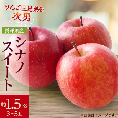 【2025年発送】フルーツ王国　長野県産 りんご　シナノスイート　約1.5kg(3～5玉程度)