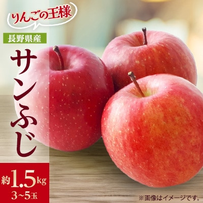 りんごの王様　長野県産 りんご　サンふじ　約1.5kg(3～5玉程度)