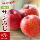 りんごの王様　長野県産 りんご　サンふじ　約5kg(10～18玉程度)