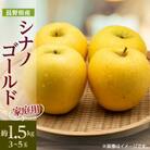 【家庭用】【2025年発送】　長野県産 りんご　シナノゴールド　約1.5kg(3～5玉程度)