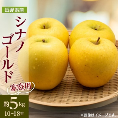 【家庭用】【2025年発送】　長野県産 りんご　シナノゴールド　約5kg(10～18玉程度)