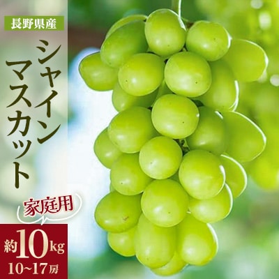 家庭用【2025年先行受付】フルーツ王国信州産地直送　シャインマスカット　約10kg(10～17房)