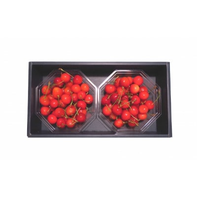 【2025年発送】フルーツ王国信州中野産　さくらんぼ　紅秀峰　約1.5kg(約100g×15パック)