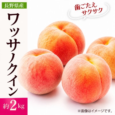 【2027年発送】フルーツ王国　長野県信州直送　ワッサークイン　約2kg　