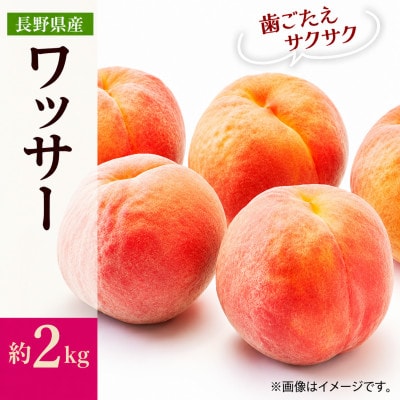 【2027年発送】フルーツ王国　長野県信州直送　ワッサー　約2kg　