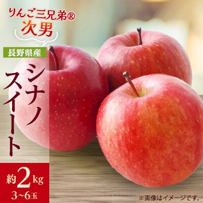 【2025年発送】フルーツ王国　長野県産 りんご　シナノスイート　約2kg(3～6玉程度)