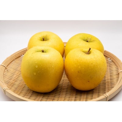 【2025年発送】 長野県産 りんご シナノゴールド 約2kg(3～5玉程度)