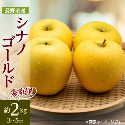 【家庭用】【2025年発送】 長野県産 りんご シナノゴールド 約2kg(3～5玉程度)