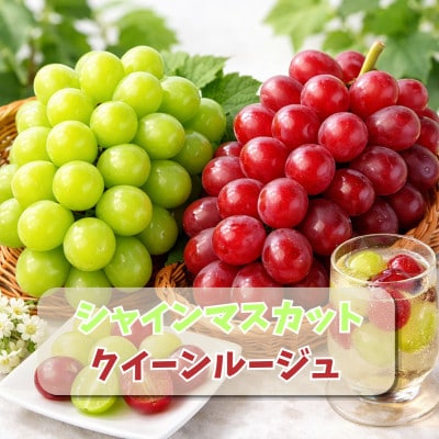 【2026年先行受付】 北信州 クイーンルージュ&シャインマスカット 各3房 計3kg以上