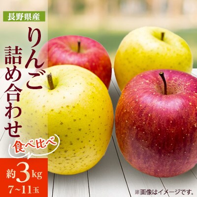 【2025年発送】長野県産 りんご サンふじ&シナノゴールド 詰め合わせ 約3kg(7～11玉程度)
