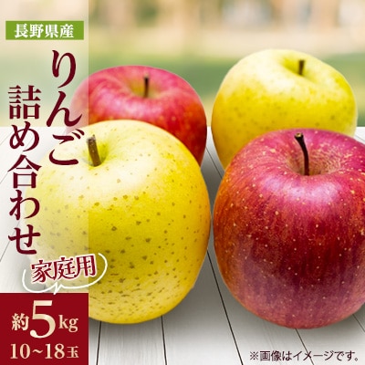 家庭用 2025年発送 りんご サンふじ&シナノゴールド 詰め合わせ 約5kg(10～18玉程度)