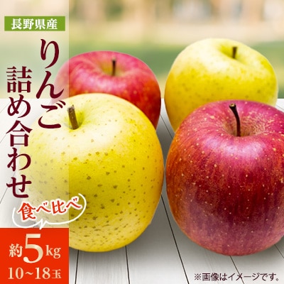 【2025年発送】りんご サンふじ&シナノゴールド 詰め合わせ 約5kg(10～18玉程度)