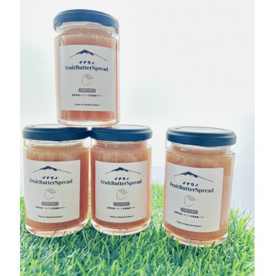 イナカノ　フルーツバタースプレッド　いちごバター　140g×4本セット【信州中野】