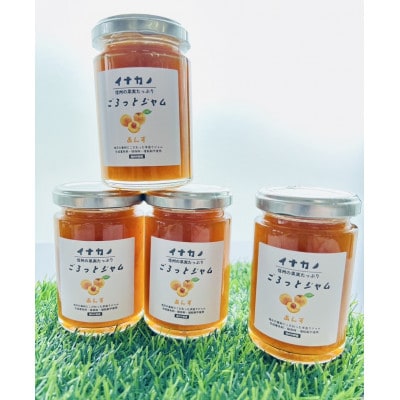 イナカノ　ごろっとジャム　あんず　140g×4本セット【信州中野】