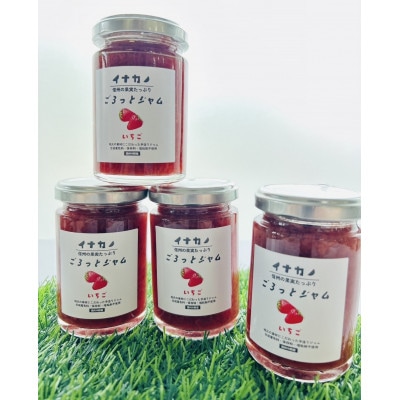 イナカノ　ごろっとジャム　いちご　140g×4本セット【信州中野】