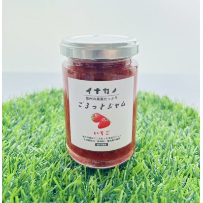 長野県果実を使った　イナカノ　ごろっとジャム　140g×おすすめ4本セット【B】