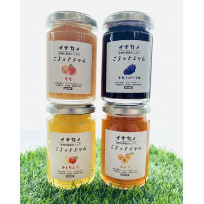 長野県果実を使った　イナカノ　ごろっとジャム　140g×おすすめ4本セット【A】