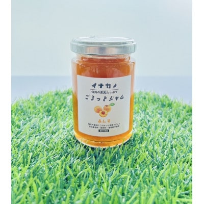 長野県果実を使った　イナカノ　ごろっとジャム　140g×おすすめ4本セット【A】
