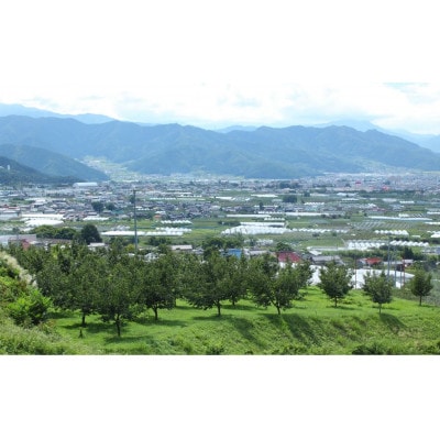 イナカノ　100%りんごジュース　1000ml×3本セット【長野県/信州中野】