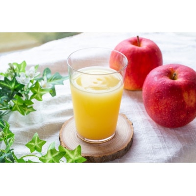 イナカノ　100%りんごジュース　1000ml×6本セット【長野県/信州中野】