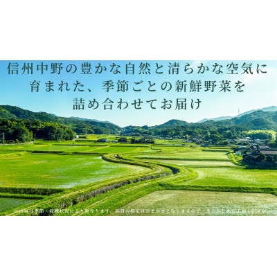 信州中野の 旬の新鮮野菜セット【野菜詰め合わせ】2kg以内