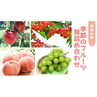 信州中野 季節の果物おまかせセット【フルーツ詰め合わせ】